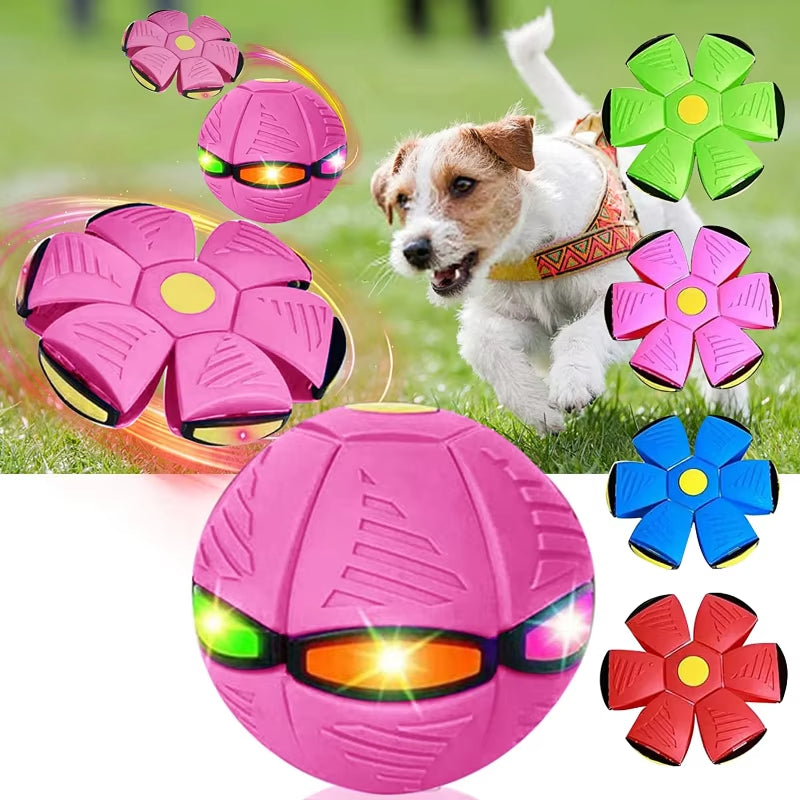 Flying Saucer Ball – Magical Throwing Toy for Children & Pets
